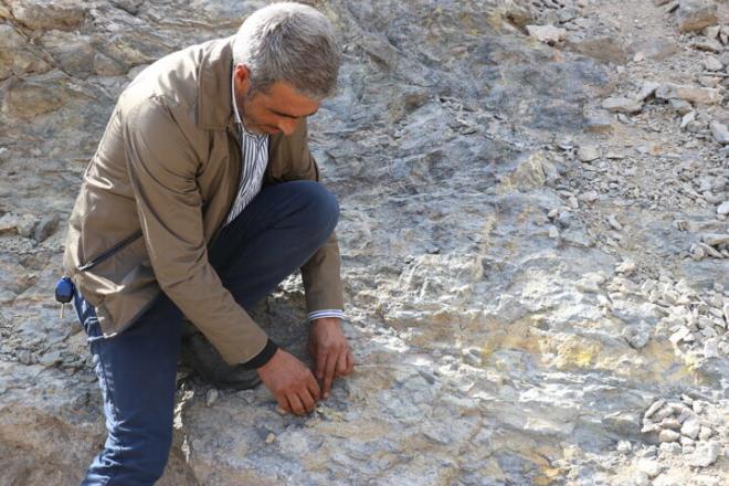 TMSF ynetimindeki Koza Altn letmelerinin blgede ilenebilir altn rezervi bulduunu belirten Varol, yle devam etti: