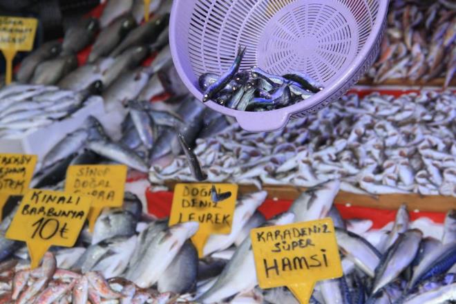 Balk Kurta Aydn, &#8220;2 gnden beri ok gzel hamsi satyoruz. Her eyin bir mevsimi var. Palamudun ii bitti. Efsanenin biri gitti biri geldi. Hamsi. u anda bugn ok gzel hamsi geldi. Bu saatten sonra hamsi satacaz. Vatandan en gzel mens. En azndan 2 ay srer. Vatandalar bekliyoruz. Bol bol alsnlar yesinler. Dolabna koysunlar. Korona virsne kar salkl yaamak iin hamsi ve ya balk yiyeceiz. Fiyatlar da ucuz&#8221; diye konutu.