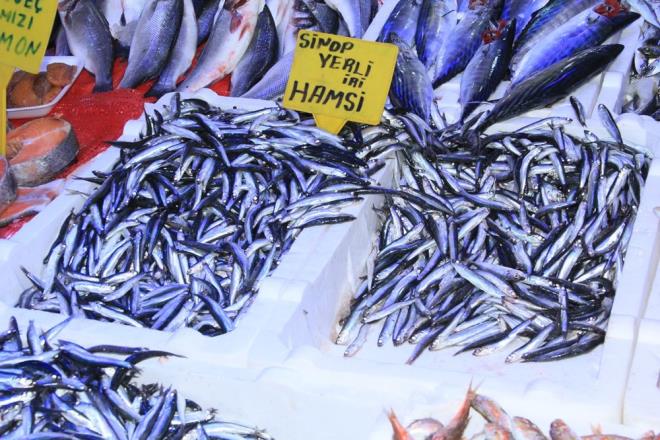 Hamsinin fiyat 10 TL&#8217;ye kadar dt. Taze hamsileri evine gtrmek isteyen vatandalar balklar nnde younluk oluturdu.