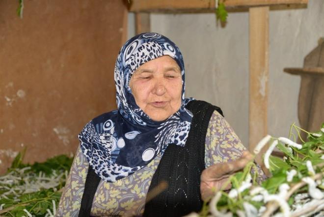 Vali Bilal entrk, bir taraftan hem gelenei yaatmak, hem de aile btesine katk salamak adna ipek bcei yetitiriciliinin Bilecik ve ilelerinde devam ettiini belirterek, tarihi ipek yolu denmesinin sebebinin de ipein ne kadar kymetli ticaret mal olduunu gsterdiini syledi.