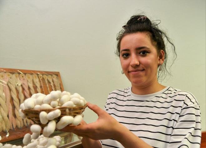 Bilecik'te retilen kozalarn yzde 70'i nhisar ilesi ve kylerinde retiliyor. Son yllarda ipek bcei retimini artrmak ve gen kuaklar da retime dahil etmek iin Koza Birlik tarafndan cretsiz dut fidan destei de salanyor.