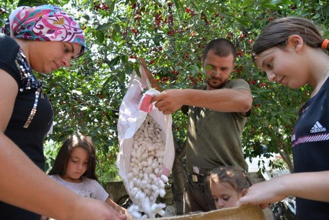 Osmaneli ilesine bal Gnren kynde 10 yandan itibaren ipekbcei yetitiren 80 yandaki Yaariye Hatun, annesinin ve babasnn da ipek bcei yetitirdiini syledi.