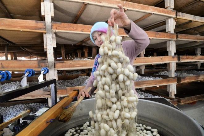 Merkez Baky de yaayan 78 yandaki Mnevver Sarkaya da 4 katl ahap evde oturduunu, evin ilk katnda hayvanlarna baktklarn, ikinci katta kendilerinin oturduunu 3. ve 4'nc katlarda ipekbcekilii yetitirdiklerini anlatt.