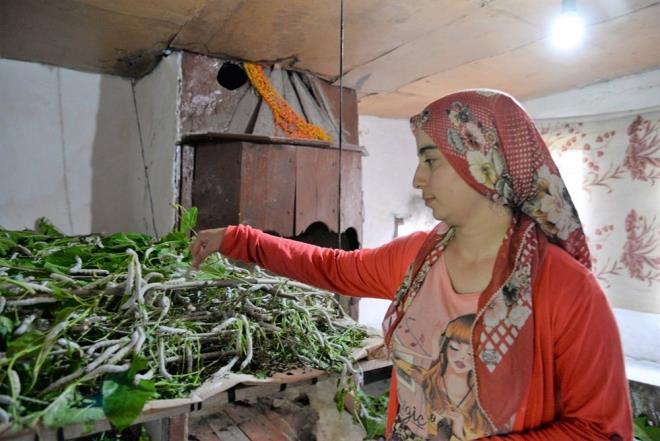 3 KLO PEK BCE KOZASINDAN, 2 KLO HAM PEK IKIYOR<br>  Yumurtadan kan ipek bcei trtlnn, sadece dut yapra yiyerek, her bir kozadan tek parada uzunluu 800 - 1200 metre arasnda deien dnyann en salam ipliini rettii, 3 kilo ipek bcei kozasndan, 2 kilo kadar ham ipek kt, Tp alannda ameliyat ipi olarak kullanlmasnn yannda elik yelek, parat kuma, uzay sanayiinde, tekstil ve dokuma sektrnde de kullanlan ipek, bilinen en salam doal iplik olduu.