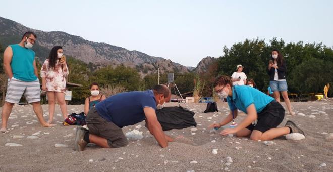 DER YUVALAMA ALANLARI  Dier yuvalama alanlar Antalya'da ral, Tekirova, Kzlot, Demirta, Gazipaa, Demre ve Finike, Mersin'de Anamur, Alata, Davultepe, Kazanl, ODT kamps, Tuzla, Adana'da Akyatan, Ayatan, Karata, Sugz, Yumurtalk, Hatay'da Samanda, Mula'da Dalaman'da bulunuyor.