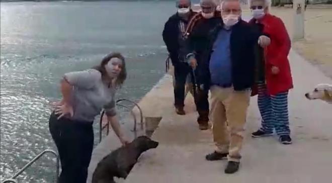 Kpein yanna kadar giden al, hayvan alarak, kyya kard.