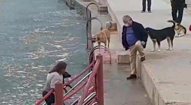 stanbul'dan Kandra'daki yazlk evine tatile gelen ve deniz kenarnda barmalar duyan Veteriner Hekim Behice Sinem al, kpein boulma tehlikesi geirdiini grr grmez, hi dnmeden kyafetleriyle denize atlad.