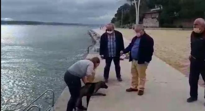 Denizin souk olmas nedeniyle oka girdii anlalan kpein, yakndaki bir restorana gtrlerek, sobann yannda snmas saland.