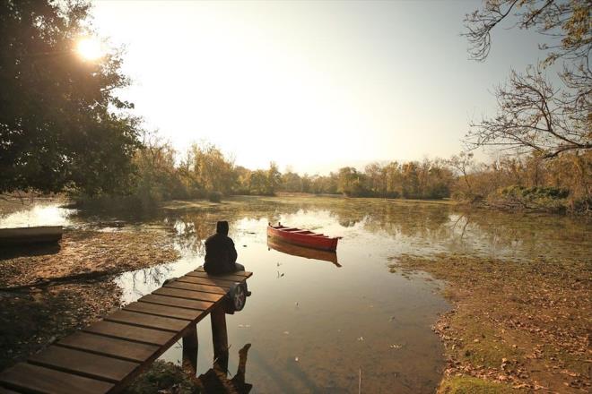 Bursa'nn Karacabey ilesinde, Marmara Denizi'nin kysnda bulunan, esiz doal gzelliklere sahip Karacabey Longozu (su basar ormanlar) sonbahar renklerine brnd.