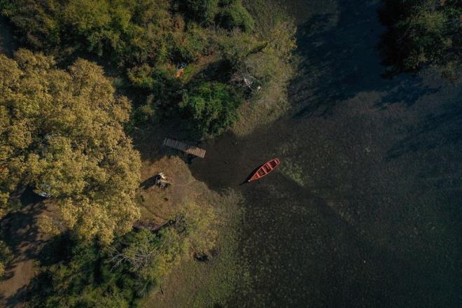 Longoz, hazan renkleriyle adeta grsel len sunuyor.