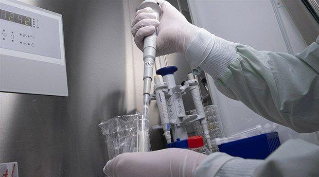 4. gn<br>  Boaz ars iddetlenir.  Ses bouklar.  Yeme ve imede zorluk yaanabilir.  Hafif ba ars ile birlikte ishal balar.