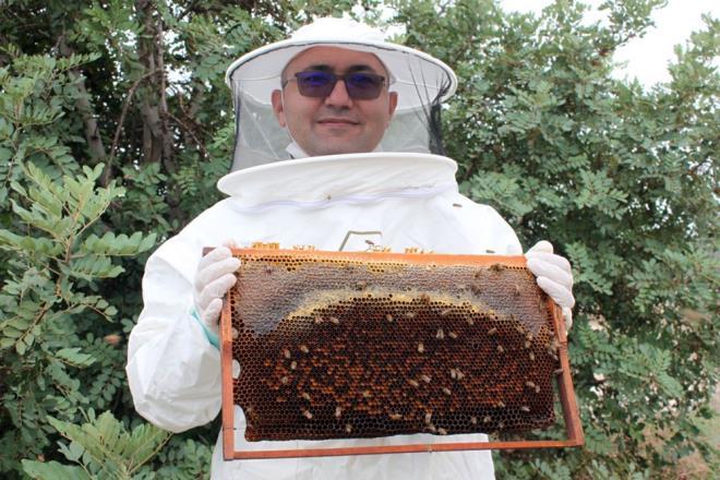 Mersin Ar reticileri Birlii Bakan Adem Kurt ise "Erken ilkbaharda narenciye bal ile balayan bal hasat dnemimiz arkasndan sandal, Toroslarn kr bal ve en sonunda, Trkiye'nin birok yerinde k mevsimi yaanmasna ramen Mersinde keiboynuzu bal hasadyla devam etmekte. Yaklak 4 bin civarnda yemizle ciddi ekilde bal retimi yapmaktayz" eklinde konutu.