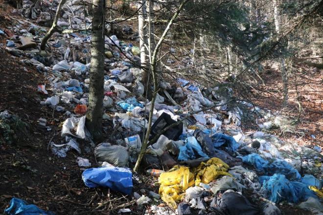 Kentte youn olarak kullanlan piknik alanlarndan olan At Yaylas'nda ormanlk alan ple dnd.