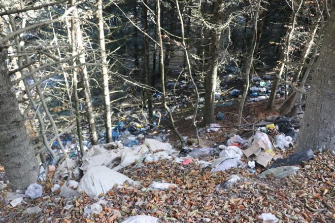 Yzde 65'i ormanlarla kapl olan, yaylacln youn olarak yaand kentte, 7 kyn ortak olarak kulland At Yaylas mevkiindeki ormanlar, kyllerin ve piknikilerin atklaryla kirlendi.