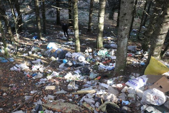 Hayvanlarn otlad ormanlara atlan ie, moloz, lavabo ve ev eyas gibi atklarn grnts tepki ekiyor.