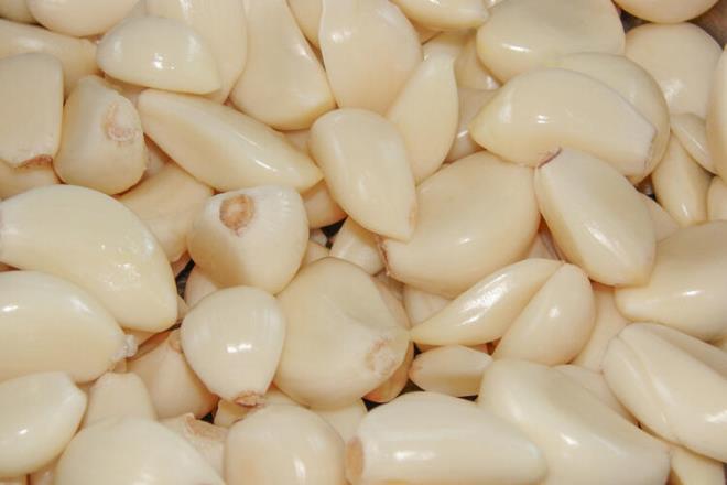 Sarmsak iinde kkrtl bileikler yannda A, B1 ve C vitamini de ieren ok faydal bir besindir. Bu ierikler bakl kuvvetlendirerek ve hcreleri koruyarak antibiyotik, antiviral, antibakteriyel ve antifungal etki gsterir. Sarmsan bu etkilerinden yararlanabilmek iin btn olarak deil inenip, ezilerek tketilmesi gerekmektedir.