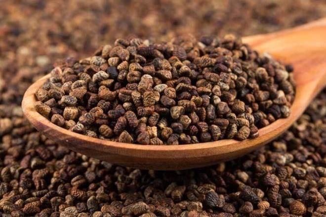 Sk sk enfeksiyon hastalklarna yakalanan kiilerde diren olumasna yardmc olur. Az ve boaz yanglarnda etkilidir.