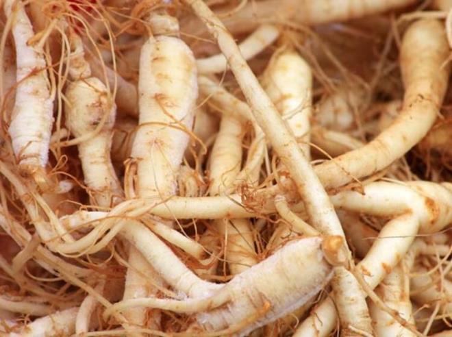 Ginseng, deerli ve etkili bir bitkidir. Bu nedenle piyasada ok sayda dk kalitede ya da sahte rn yer almaktadr. Etkili olabilmesi iin mutlaka gvenilir kaynakl rn satn alnmaldr.