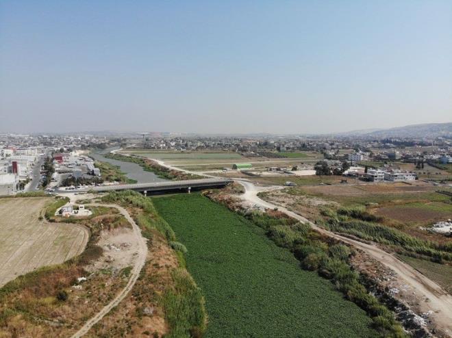 Su smbllerinin daha nce bu kadar youn olarak nehirde grnmediklerini, bir anda arttn dile getiren Gkhan Bayrl ise grnt kirliliini yarattn ve temizlenmesini istediklerini aktard.