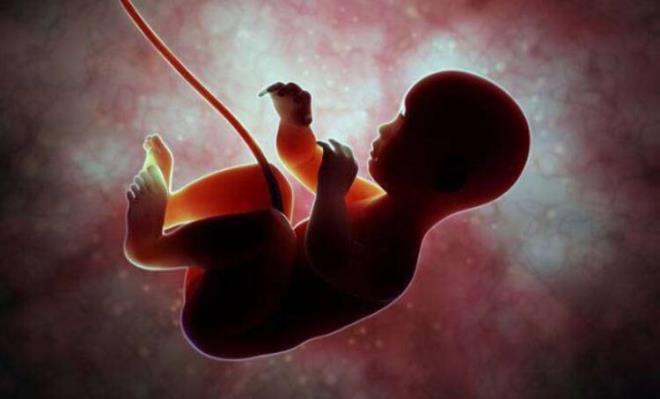 'CENN DOKUSU' SYLENTS  Alarn insan ve hayvan ceninlerindeki baz dokular, zellikle de akcier dokularn ierdiine ynelik sylentilere de rastlanyor. Bu iddialar bazen de "anne karnndaki 3-6 aylk bebeklerin krtajla alnp bedenlerinin a almalar iin kullanlmas" eklinde paylalyor. Bu da yanl bir iddia.