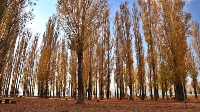 Gndoan, tm dnyada olduu Trkiye'yi de etkileyen corona virs salgnna kar hafta sonlar uygulanan kstlamalardan dolay Hazar Gl'nn bugne kadar hi grlmemi bir sessizlik yaadn dile getirdi.