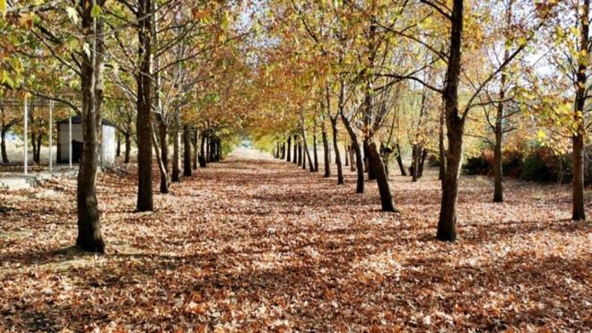 Yln drt mevsimi farkl gzelliklere sahne olan Hazar Gl, sonbaharda da gn ierisinde gne nlarnn geli asna gre mavi ve yeilin farkl tonlarna brnen yzeyinin oluturduu grsel lenle fotoraflar ve doaseverler iin seyrine doyum olmayan manzaralar sunuyor.