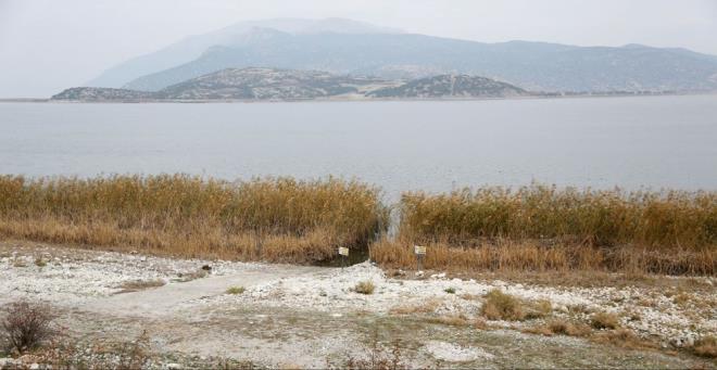 MEKAN�K VE B�YOLOJ�K Y�NTEML� TEM�ZL�K  G�l dibinde biriken kimyasal ve sanayi at�k sebebiyle biriken dip �amurlar�n�n ��kar�lmas� ve temizli�inin mutlaka bilim insanlar�n�n y�netiminde, mekanik ve biyolojik y�ntemlerle yap�lmas� gerekti�ini anlatan Dr. Kesici, “Son g�nlerde g�l �evresi ve k�y�lar�nda temel a�ma, hafriyat ve i� makineleriyle yap�lan �al��malar g�lde kalan son canl� varl�klar� bile yok edecek �zelli�e sahip. Bu nedenle buradaki temizlik, �zmit, Hali� g�llerindeki gibi yap�lmal�" dedi.