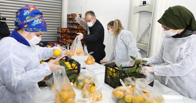 Bykehir Belediyesi Sosyal Hizmet Dairesi Bakanl&#8217;nn kontrolnde, TARIM A. ve BURFA&#8217;n da destekleriyle hayata geirilen proje kapsamnda Hikmet ahin Kent Hali bu organizasyon iin s olarak belirlenirken, TARIM A.. personelleri tarafndan C vitamini bakmndan zengin turu, limon, portakal, mandalina ve narlar zenle seilip, bez poetlere dolduruluyor. Hazrlanan C vitamini destek paketleri, talepte bulunan vatandalarn evlerine kadar gtrlyor.