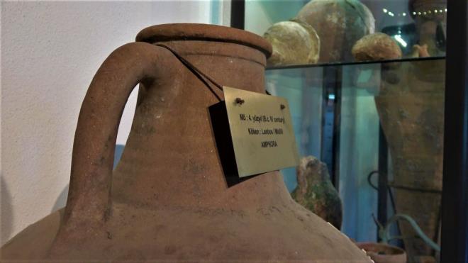 Bunlar�n hepsi birer de�er: M�zesinde yakla��k 20 milyon y�ll�k fosillerin de oldu�unu dile getiren Acar, “Bu b�lgenin en y�ksek yeri �altepesi dedi�imiz cezaevinin oldu�u da�. O da��n oldu�u yeren az 20 milyon y�l �nce denizmi� ve tuzlu su. O da��n tarlalar�ndan ��kan bir deniz kestanesi fosili var. �nan�lmaz bir �ey. Gene oradan ��kan bir deniz salyangozu fosili var. Buran�n en y�ksek da��, zamanla da� haline gelmi�, denizmi� ve tuzlu su. Bunlar�n hepsi birer de�er” diye konu�tu.