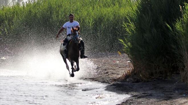 Yar�� atlar�n�n bak�m ve beslenmelerini ve yar��lara haz�rl�k antrenmanlar�n� yapmak �zere at sahipleri, antren�rler, seyisler ve di�er �al��anlar, sadece bu i�leri yapmak ve ikametleri ile yar�� ya da antrenman alan� aras�ndaki g�zergahla s�n�rl� kalmak kayd�yla soka�a ��kma k�s�tlamalar�ndan muaft�r.