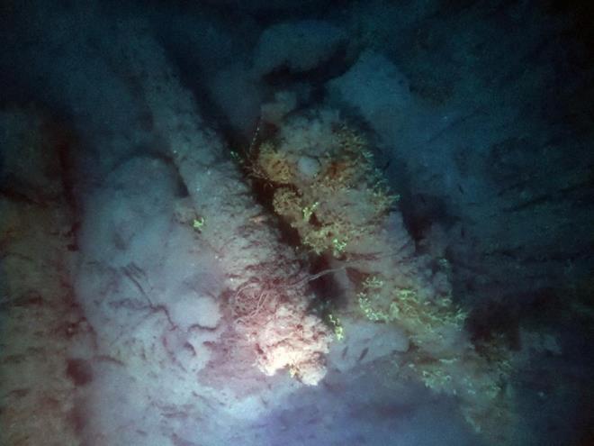 Arlkl olarak Birlemi Milletler'in de 2021- 2031 kapsamnda gndeme getirdii mavi bymeyle ilgili bir strateji oluturmay hedeflediklerini dile getiren Prof. Dr. Nkhet Hotar, "zellikle denize kys olan ve denizde hak iddia eden lkelerin bir mavi byme stratejisi oluturmas gerekiyor. Bu kapsamda almalarmzn ve bu bulgularn mavi byme stratejimizin eylem plannn oluturulmasnda da ciddi katk vereceine inanyoruz" ifadelerini kulland.