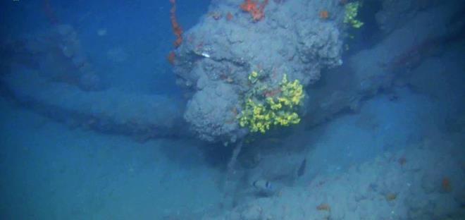 BATIIN KML ARATIRILACAK  DE Deniz Bilimleri ve Teknolojisi Enstits retim yesi Do. Dr. Harun zda ise jeofizik mhendisi Dr. retim yesi Nilhan Kzlda, Kltr ve Turizm Bakanl proje temsilcisi Emre Sava ve ekipteki bilim insanlaryla nemli bir almaya imza attklarn belirtip, 2020 yl su alt aratrmalarnn son etabn Foa'da gerekletirdiklerini syledi. Kltr Bakanl'ndan alnan izinle almalar yrttklerini anlatan Do. Dr. zda, "Mavi Miras Projesi kapsamnda almalar yrtrken byk bir srprizle karlatk. Akas zmir blgesinde ok fazla deniz sava olduunu biliyorduk. Foa aklarnda yaklak 50-55 metre derinliinde zerinde 20 demir ve bronz top bulunan bir bata rastladk. ok heyecanlandk. Batn kimliini henz bilmiyoruz. nk ilk etap almalarmz bunlar" diye konutu.