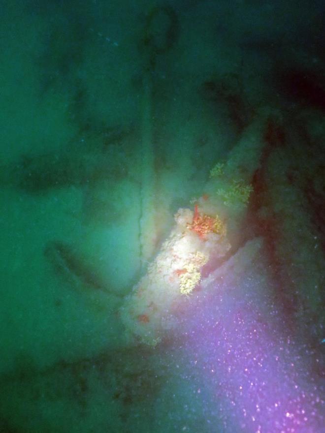 DE Rektr Prof. Dr. Nkhet Hotar, 2005 ylndan beri devam eden Mavi Miras Projesi ile su alt batklarnn corafi iaretlemesini yapmay hedeflediklerini belirtip, TBTAK'tan destek aldklarn syledi. Mavi Miras'n 2017 ylndan sonra Cumhurbakanl kararnamesiyle yrtlen ilk ve tek proje olduunun altn izen Prof. Dr. Hotar, Cumhurbakanl Bte ve Strateji Bakanl tarafndan desteklenen yerli ve milli bir proje olduuna dikkati ekti. Bilim insanlarnn katklar ve emektar Piri Reis gemisinin varl ile denizcilik tarihine yeni ufuklar aacak bulular yaptklarn anlatan Prof. Dr. Hotar, "zellikle az bilinen Osmanl dnemine ilikin batklar bulduk. Bu proje kapsamnda heyetimiz 5 gemi bat buldu. Biz de bu almalara niversite olarak tam desteiz. Bunu bir adm daha ileriye tamak istiyoruz. zellikle Avrasya corafyas ierisinde bu konuyu aratracak su alt aratrmalar ve denizcilik tarihine ilikin bir merkez kurma almalarmz hzlandrdk. Yksekretim Kurulu (YK) sreci de tamamlandktan sonra byle bir merkezle bilimsel anlamda daha ciddi bir adm atm olacaz" dedi.