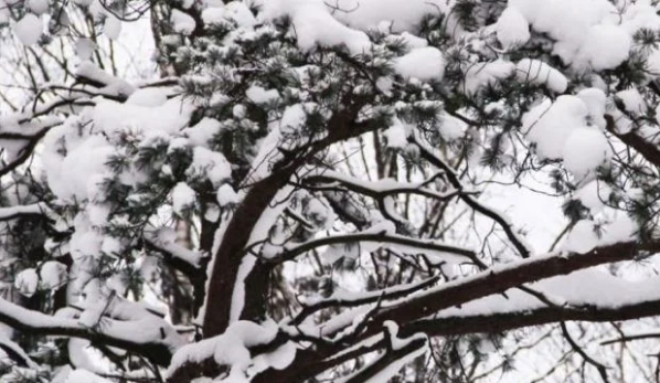 Sabah ve gece saatlerinde dou blgelerde buzlanma ve don olay bekleniyor. Marmara&#8217;nn gneydousu,  Ege,  Anadolu ve Bat Karadeniz&#8217;in i kesimlerinde gece saatlerinde yer yer pus ve sis hadisesi bekleniyor.