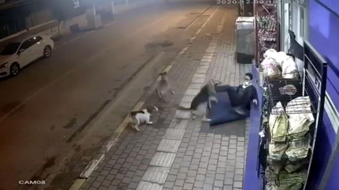 Tekme atarak kpekleri kendisinden uzaklatrmaya alan kii, sa bacandan srld.