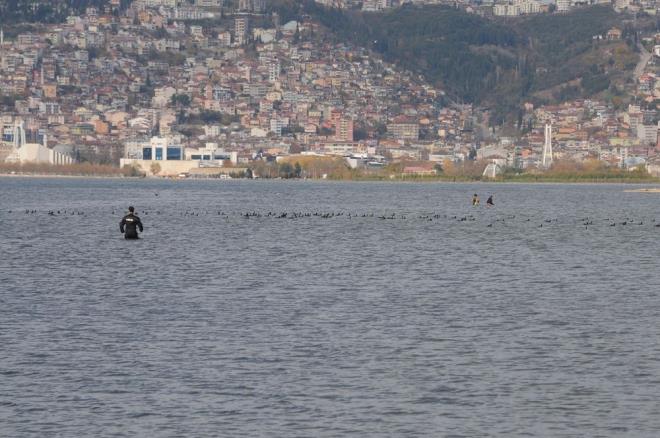 Yaklak 2 saat boyunca 3 kilometrelik sahil eridinde devam eden kovalamacann ardndan kaak midye avlayan 2 kii, denizden karld.