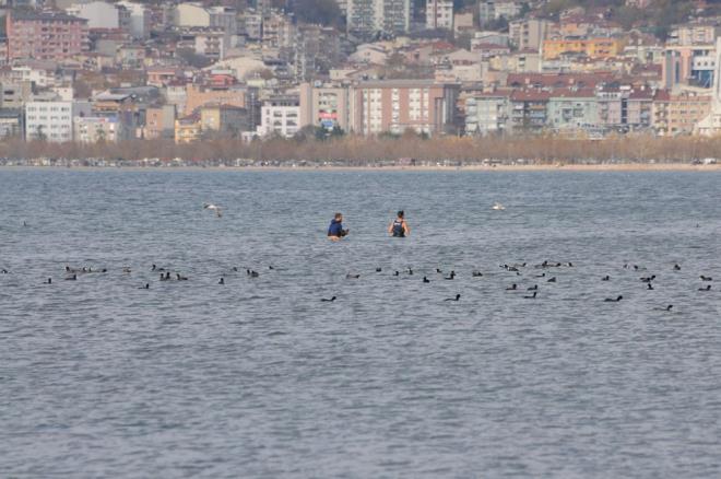 hbar zerine blgeye sevk edilen polis ekipleri, phelilere denizden kmalar ynnde uyarlarda bulundu.
