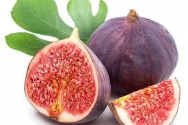 Hatta canl ar kmasa da siz her zaman incir yediinizde ar paralarn da beraberinde yersiniz.