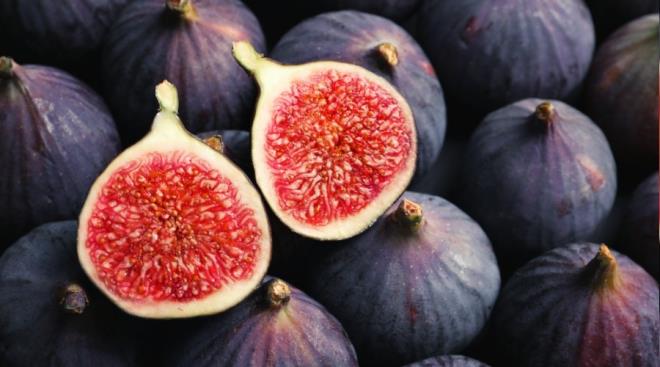 Ksaca anlatmak gerekirse incir ars incirin iine girip yumurtalarn brakr.