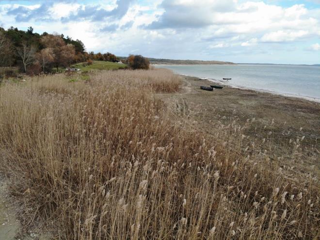SULARIN ERSNDE OLAN SAZLIKLAR DIARIDA KALDI  Normal artlarda sularn ierisinde kalan sazlklar ise tamamen darda kalarak kurumaya yz tuttu. Terkos Gl&#8217;nde son llen su miktar yzde 22,54 ile son 10 yln en kt debisi lld.