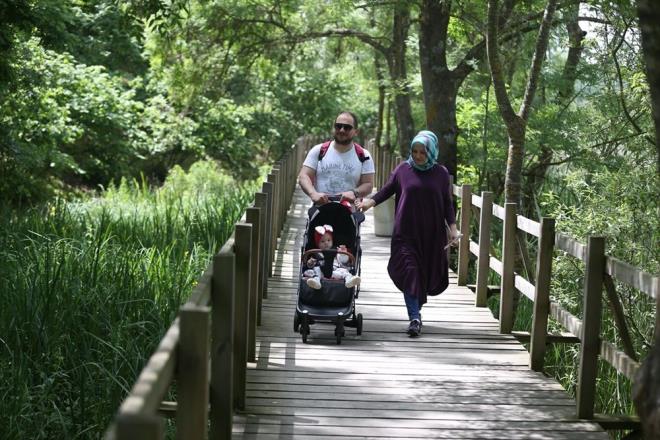 Gezgin, tesislere yl ba iin de youn talep olduunu aktararak, "Villa tarz konaklamalar, daha ok ailelerin tercihi. Bunun yan sra mstakil alanlarda rahatszlk verilmemesi adna grlt ses ve etkinlikleri yaplmyor. Toplu organizasyonlar olmad iin aileler kendi kendilerine vakit geirebiliyor" ifadelerini kulland.