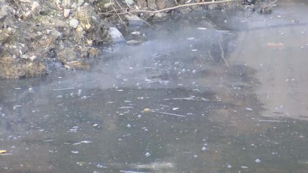 En fazla younluun olduu yer batan beri stanbul'du: Vaka grlen illerle ilgili konuan Kocamemi "Arlkl olarak stanbul, Bursa, zmit, zmir, Konya illerinde kovid-19 vakas daha fazla grmtk. O tarihlerdeki demelerimde de belirttiim gibi, bizim bir sonraki hedefimiz rutin analizler yaparak bir erken uyar sistemi oluturmakt. Bu amala da biz 22 tane pilot ehir belirledik. Bu ehirleri belirlerken, haritada da grdnz gibi, Salk Bakanl'nn belirledii 12 tane blgeyi baz aldk. Her blgede en az bir ehir olacak ekilde, vakalarn fazla olmas beklenen blgelerde ise birden fazla ehir belirledik. Ve u anda Trkiye'de belirlenen 22 pilot ehirden 2-3 haftada bir numune alnyor. Burada stanbul'u hari tutuyorum nk stanbul'da hali hazrda vakalar ok fazla. En fazla younluun olduu yer batan beri stanbul'du. " diye konutu.
