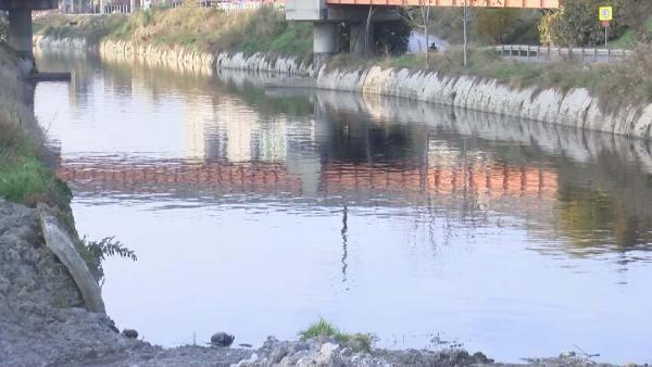 Avrupa'da emsali olmayan artma tesisleri: almalar sorunsuz bir ekilde devam ederken, Mays aynda birden atk sulardaki virs grememeye baladklarn ifade eden Kocamemi, o tarihlerde virsn mutasyona uram olabileceini dile getirerek "lk nce stanbul'un haritasndan bahsedeyim. Burada haftalk olarak alnyor ve iki adet artma tesisi belirledik. Bu artma tesisleri ok byk, Avrupa'da emsali olmayan artma tesisleridir. Ambarl Atk Su Artma Tesisi, Avrupa Yakas'n temsil ediyor ve 1,5  milyon kiiye hitap ediyor. Paaky ise Anadolu Yakasn. Anadolu Yakasnda 1 milyon kiiye hitap eden tesisler. Yani yle syleyeyim, bu tesislerden bir numune alp baktnzda 1 milyon ve 1,5 milyon kiideki yaylma bakm oluyorsunuz. Renk deiimlerini gryorsunuz. " eklinde konutu.