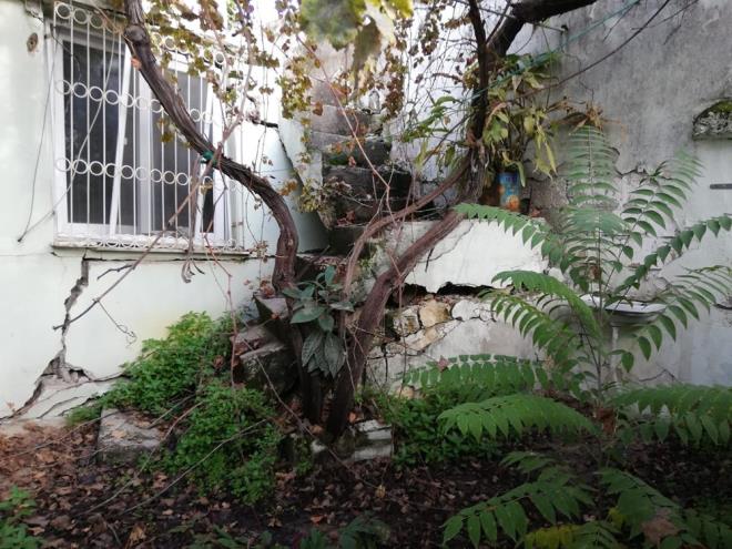 82 Evler Mahallesi'nde 3'nc derece arkeolojik ST alannda gerekletirilen kaz almalarna ilikin 2 Kasm 2017 tarihli uzman raporunda, kaz almalarnda 1 adet bronz sikke, krk stun paras, ettlk durumda seramik paralar haricinde envanterlik nitelikte tanr-tanmaz kltr varlna rastlanmad vurguland. Kaznn ardndan harabeye dnen ev gizemini korurken, mahalleli kimlii belirsiz kiilerin eve girdiini iddia ederek, yardm istedi.