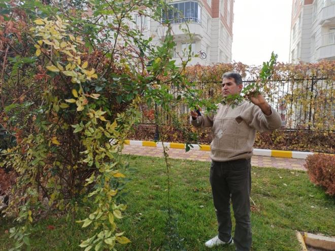 Bu durum 1976 ylnda ekilen ynetmenliini Zeki kten'in yapt baroln Kemal Sunal'n oynad "Kapclar Kral" filmini akllara getirdi.