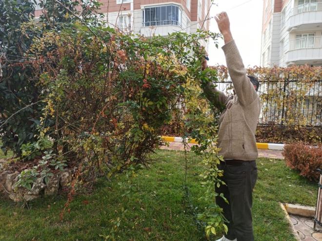 Site sakinleri, uzun sredir grevli olarak alan zm'n sitelerinde ynetici olmas iin alma balatt.