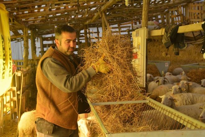 "CORONA VRS NEDENYLE KY HAYATINI TERCH ETTM"    Tm dnyay etkisi altna alan corona virsn tercih yapmasnda etkili olduunu da syleyen ak, &#8220;Dnyamz ve lkemizi etkisi altna alan corona virsten dolay ky hayatn tercih ettim. nk buradaki her ey doal ve organik, ehir ise ok youn ve kalabalk ve temasn engellenememesi asndan ben kyde huzur buldum. Salkl olmak asndan da kendimi doaya attm.