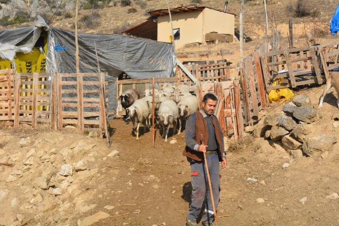 "BIRAKMAYI DNMYORUM"    Koyunlarn her sabah alndan karp merada otlatmaya karan Selahattin ak, obanlk yapmay da ok sevdiini syledi.    Doa ile ba baa olmann kendisine ayr bir keyif verdiini anlatan ak, &#8220;Ben bu meslei gerekten ok sevdim, brakmay da kesinlikle dnmyorum. Gcm yettii kadar bu ite devam etmeyi planlyorum. ocuklarma da miras olarak bu meslei brakmak istiyorum. Zaten onlar da sevdiler, ilgi duyuyorlar. Bu arada kendimi de garantiye almak iin koyunlarn hepsine de sigorta yaptrdm. Btn reticilere de bunu tavsiye ediyorum. nk, vahi hayvan saldrs olabilir, doal afetler olabilir, bunlara kar da kendimi bu ekilde korumaya aldm.