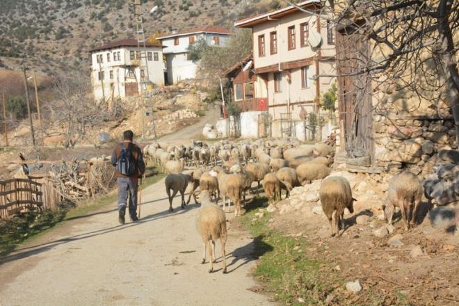Bu halinden olduka mutlu olduunu ve kye yerletii iin herhangi bir pimanlk duymadn anlatan ak, &#8220;Yaklak 20 yl zel sektrde altm. stanbul gibi byk bir metropolde altm iin artk oradaki younluk beni gerekten bomaya ve skmaya balad. Kyme dnmeye karar verdim. Burada mutluyum. Doada olmay seviyorum. ehrin skntl ve karmaklndan kurtulduuma da seviniyorum.