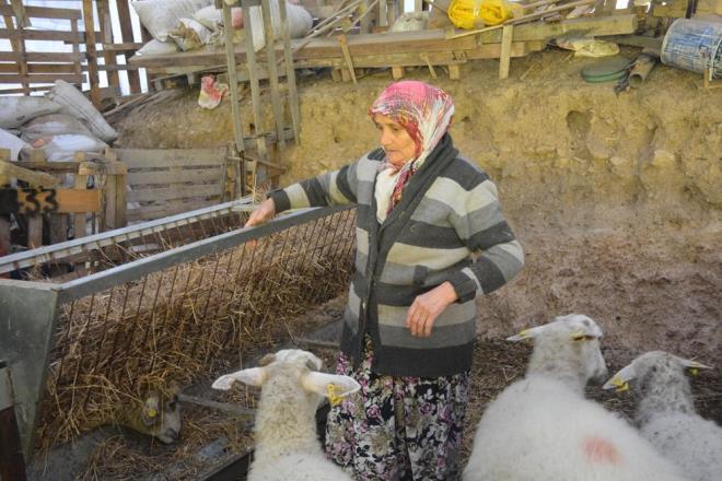 ANNE VE BABASI DA DESTEK OLUYOR  Gnren kynde oturan Necmi ak da olunun kararn desteklediini ve kendisine mmkn olduunca yardm etmeye altn syledi.